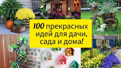 100 идей для сада и огорода фото фото