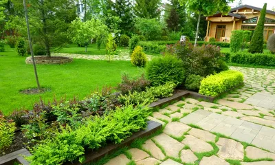 Идеи для сада - огорода. Услуги садовника. Фото наши | Kyiv