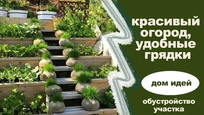 Работы в саду: новогодние идеи для сада своими руками - Agro-Market