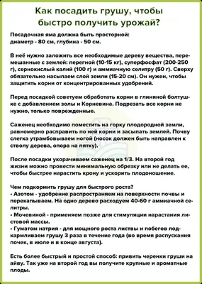 Планировка участка 15 соток - лучшие практичные идеи Ландшафтного дизайна  участка, правила оформления