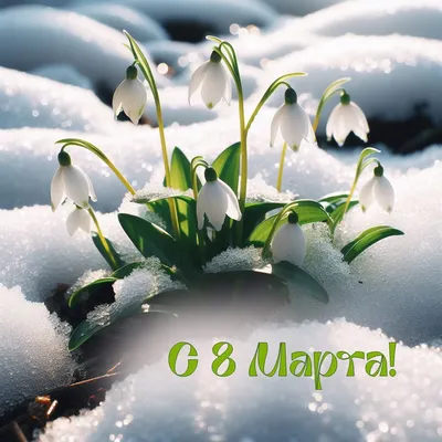 Открытка А5 «С 8 Марта», нежные тюльпаны, отделка Уф-лак — Офисная техника