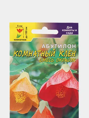 Мои цветы Часть 1 Абутилон Комнатный клен: Персональные записи в журнале  Ярмарки Мастеров