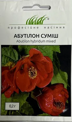 Абутилон гибридный Смесь Бельвю 0.1г, Комнатный клён, Поиск