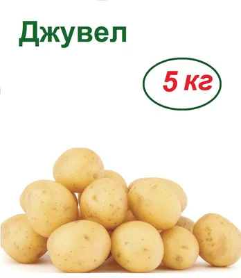 Адретта Картофель – купить в интернет-магазине OZON по низкой цене