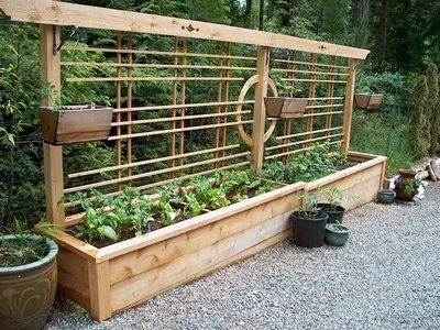 Ухоженный, аккуратный и чистый огород - пример для восхищения👀☺💡 | Идеи  для садового дизайна, Планы садового дизайна, Садовые грядки