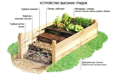 Грядки-короба из стекла. Стеклянные блоки и бутылки отличный материал для  ограждения грядок. - YouTube