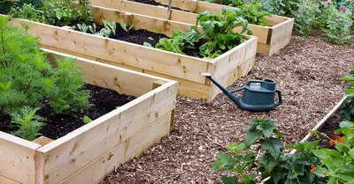 Оцинкованные грядки: практичные и удобные конструкции для садоводства и  огородничества