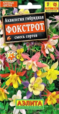 Аквилегия в моем саду | Пикабу