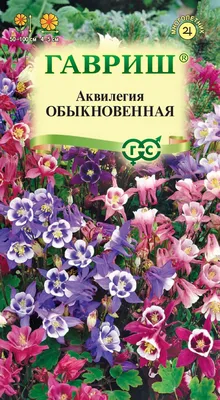 Сад Роберта Хёка в Австрии | Ландшафтный дизайн садов и парков