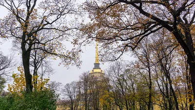Александровский сад расположен в самом центре Санкт-Петербурга. Сад открыт  в 1874 году. Назван в честь императора Александра ΙΙ.