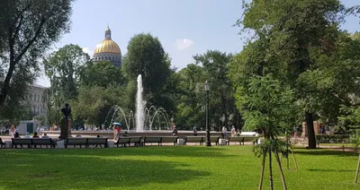 Александровский сад. Санкт-Петербург. | Петербург знакомый и незнакомый |  Дзен