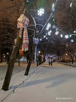 Адмиралтейство и Александровский сад в Санкт-Петербурге. Линогравюра М.  Успенского - купить по выгодной цене в интернет-магазине OZON (606700974)