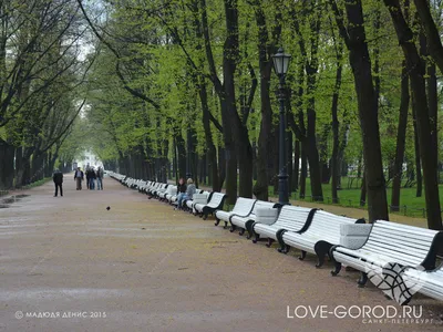 У стен Московского Кремля: