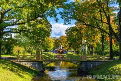Александровский парк в Царском селе