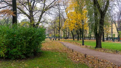 Александровский сад