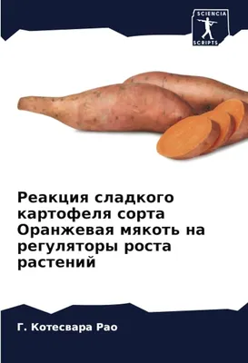 Популярные сорта картофеля для посадки в Украине — интернет магазин товаров  для сада и огорода Лето 🌿