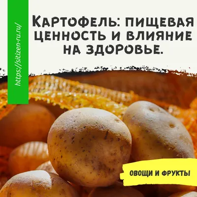 Реакция сладкого картофеля сорта Оранжевая мякоть на регуляторы роста  растений (Russian Edition): Котесвара Рао, Г.: 9786205842997: Amazon.com:  Books