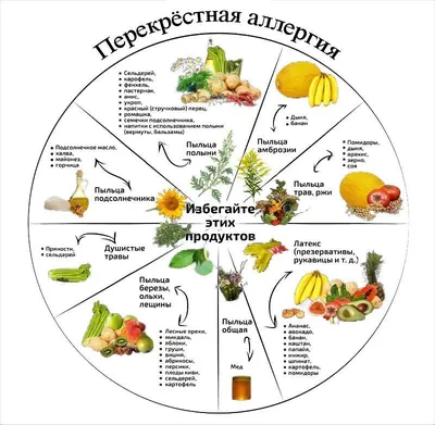 Медцентр \"МедЛайн\" - 🔴 Что такое перекрестная аллергия? 🔴 У пациентов с  диагнозом поллиноз также может наблюдаться непереносимость некоторых  продуктов питания. Это, так называемая, перекрёстная аллергия, и  самостоятельно пытаться лечить эту патологию