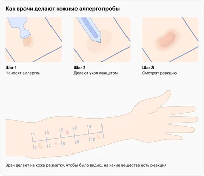 Ночной клубень: когда и с чем надо есть картофель | Статьи | Известия