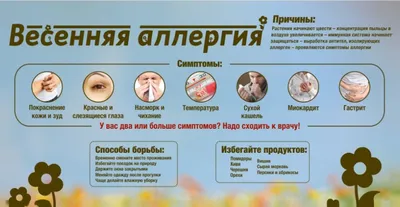 Чем желтые томаты отличаются от красных? Какие помидоры полезнее и вкуснее?  — читать на Gastronom.ru
