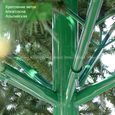Сосна уличная \"Альпийская\" 4 м купить в СПб