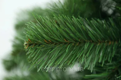 Сосна ствольная уличная Альпийская 4 м, хвоя - леска, Green Trees купить в  Москве в интернет-магазине GreenElki