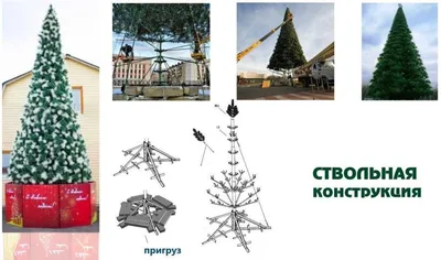 Эфирное масло для бани и сауны «Сосна альпийская» 10 мл Ароматика -  Ароматика Мечты – Доверяй силам природы