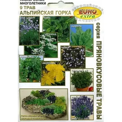 ✓ Семена Лук батун Зеленое перо, 0,5г, Гавриш, Семена от автора по цене 38  руб. ◈ Большой выбор ◈ Купить по всей России ✓ Интернет-магазин Гавриш ☎  8-495-902-77-18