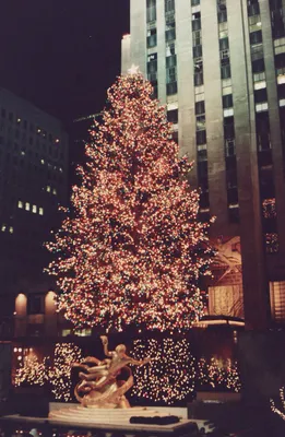В центре Нью-Йорка зажглась главная рождественская елка США: 02 декабря  2021, 12:48 - новости на Tengrinews.kz