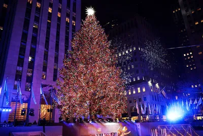 Самые необычные и красивые новогодние елки мира | Resorts4U.Ru