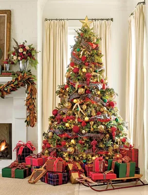 Главную рождественскую елку США зажгли в Нью-Йорке | Elitar.kz