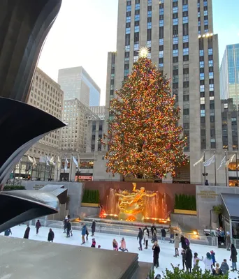 Американская Белая Мини-Имитация рождественской елки, модный дизайн елки,  реквизит, настольное украшение, Рождественское украшение | AliExpress