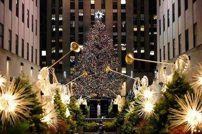 12 малоизвестных фактов о самой знаменитой рождественской елке Америки