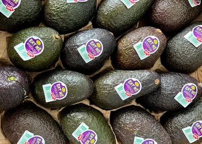 Плоды авокадо: важные свойства необычного фрукта