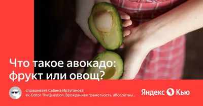 Mosprivoz.RU - 🥑 Авокадо – овощ или фрукт? 🥑 ⠀ 🥑 Авокадо... | Facebook
