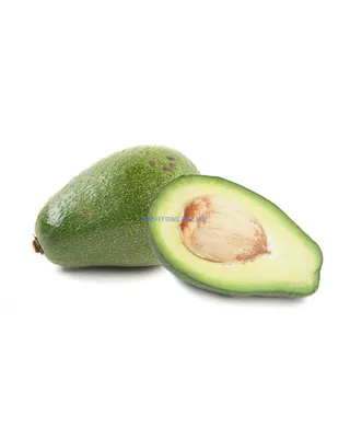 Avocado – Food Factory