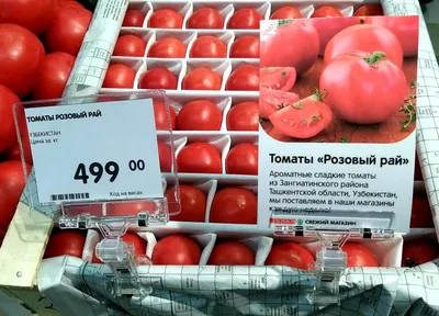 Томаты азербайджанские розовые
