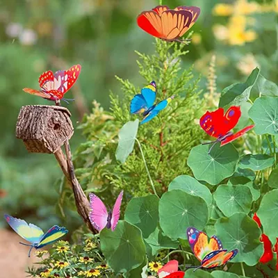DIY:Как сделать БАБОЧКУ из Пластиковой Бутылки. BUTTERFLY from Plastic  Bottle - YouTube