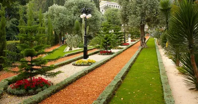 Фотообои «Бахайские сады в Хайфе, Израиль»