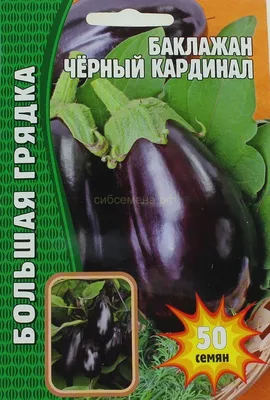 Собираю баклажаны. День 123