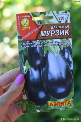 Посадка баклажанов в открытый грунт: проращивание и замачивание семян перед  посевом, через сколько дней появятся всходы