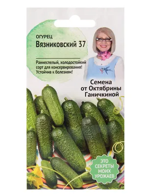 Огурцы на балконе | Балкон, Растения, Шпалеры