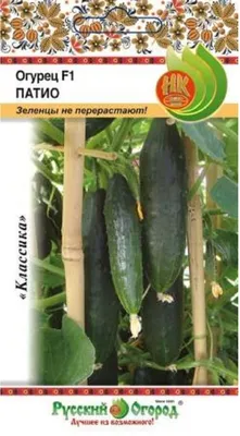 Огурец на балконе, веранде и лоджии