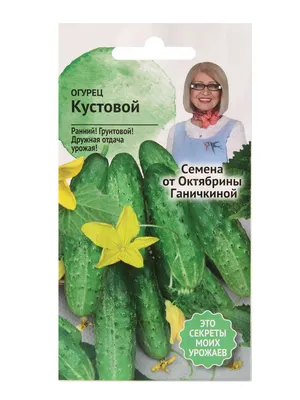 Балконные сердечки» от всего сердца. ФОТО: ОБРАЗОВАНИЕ: ЯМАЛ 1