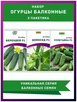 Увлечение, кроме вязания. | Вдохновляемся и творим вместе с Татьяной | Дзен