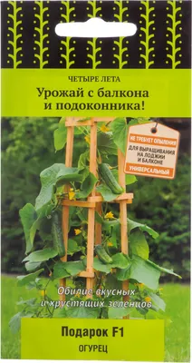 Урожай на балконе | Пикабу