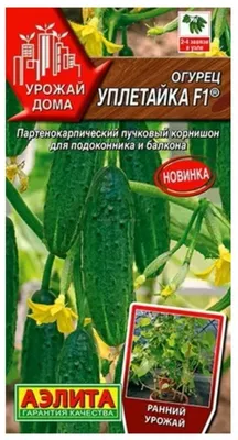 Балконные огурцы: лучшие сорта и гибриды, по мнению опытного агронома,  Храмова Оксана