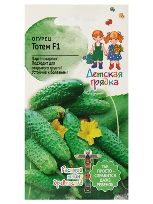 Балконные огурцы