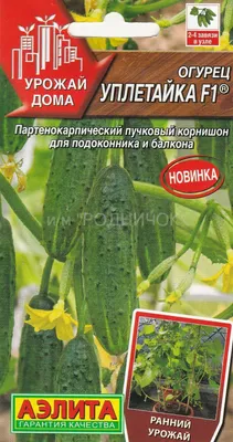 Что можно вырастить на балконе, как вырастить на балконе огурцы, помидоры,  шпинат, листья свеклы февраль-апрель 2022 года. Огород на балконе - 27  февраля 2022 - НГС