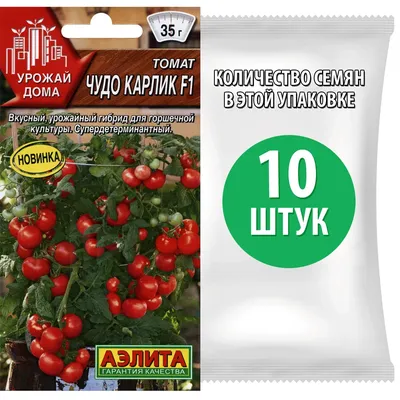 Томаты черри: растим на балконе | Пикабу